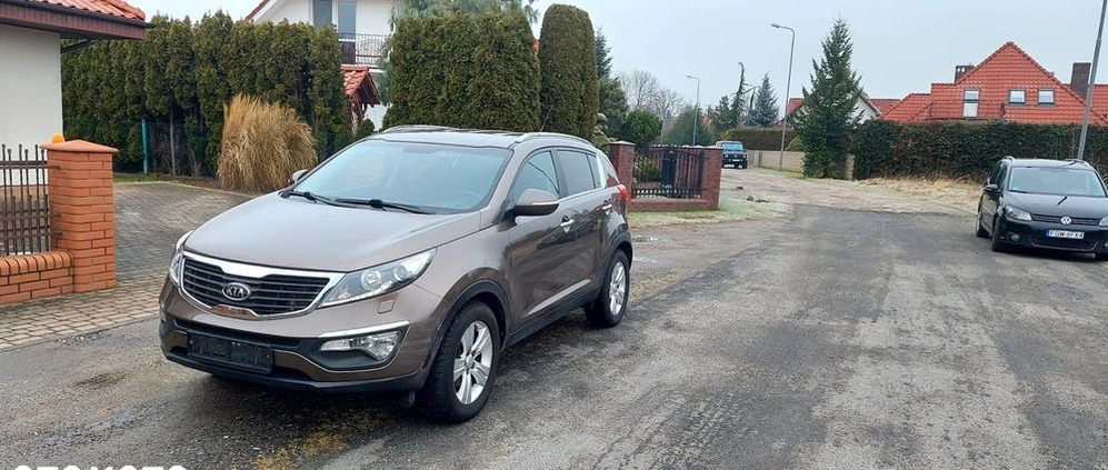 Kia Sportage cena 37500 przebieg: 96588, rok produkcji 2011 z Dębno małe 37